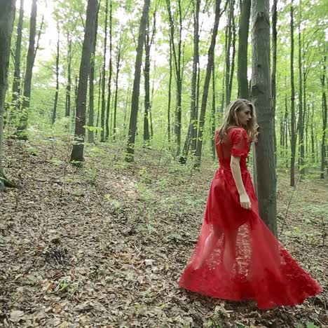 una chica romántica y elegante en el bosque.