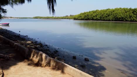 Ribera-Del-Río-Gambia,-Destino-De-Agua-De-Sabana-En-África-Occidental-Con-Bosque-De-Manglares-En-El-Fondo