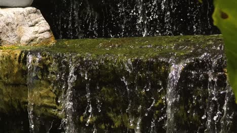 small garden waterfall