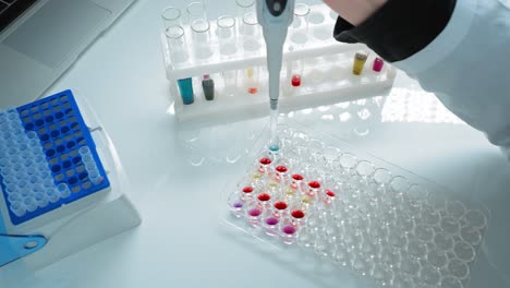 laboratory experiment with test tubes and microplates
