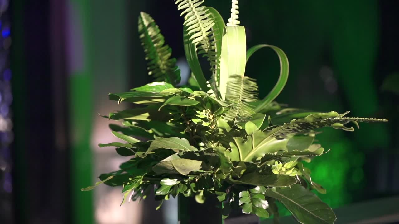 장식적인 녹색 식물, 파티 장식, 가까운 아레카  꽃