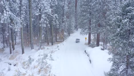 aerial 4k footage of sequoia national park covered in snow 10