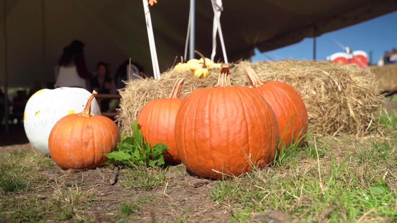 calabazas en el suelo por montones de heno en la granja en otoño