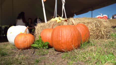 Pumpkins-on-ground-by-haystacks-at-farm-in-autumn