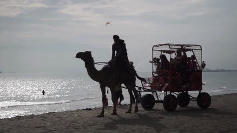 Silhouette-Of-Camel-Carriage-Passing-Across-The-Beach