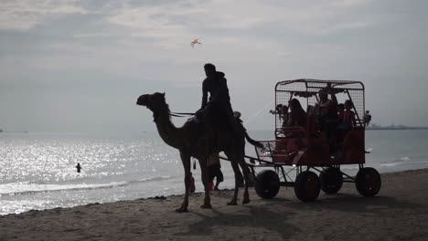 silhouette of camel carriage passing across the beach