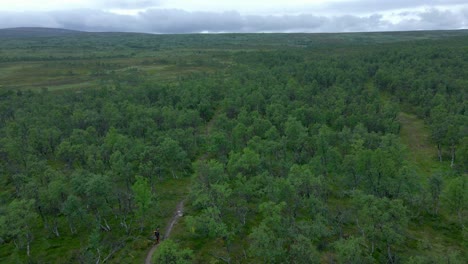 estrecha ruta de senderismo en el bosque, paisaje ártico, antena hacia atrás