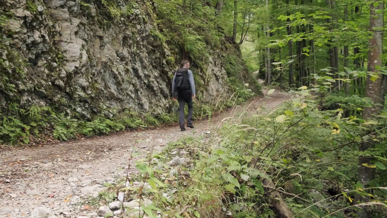 triglav 국립 공원-11에서 봄 동안 슬로베니아의 pokljuka 협곡을 걷는 남자