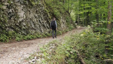 man walking through pokljuka gorge in slovenia during spring in the triglav national park-11