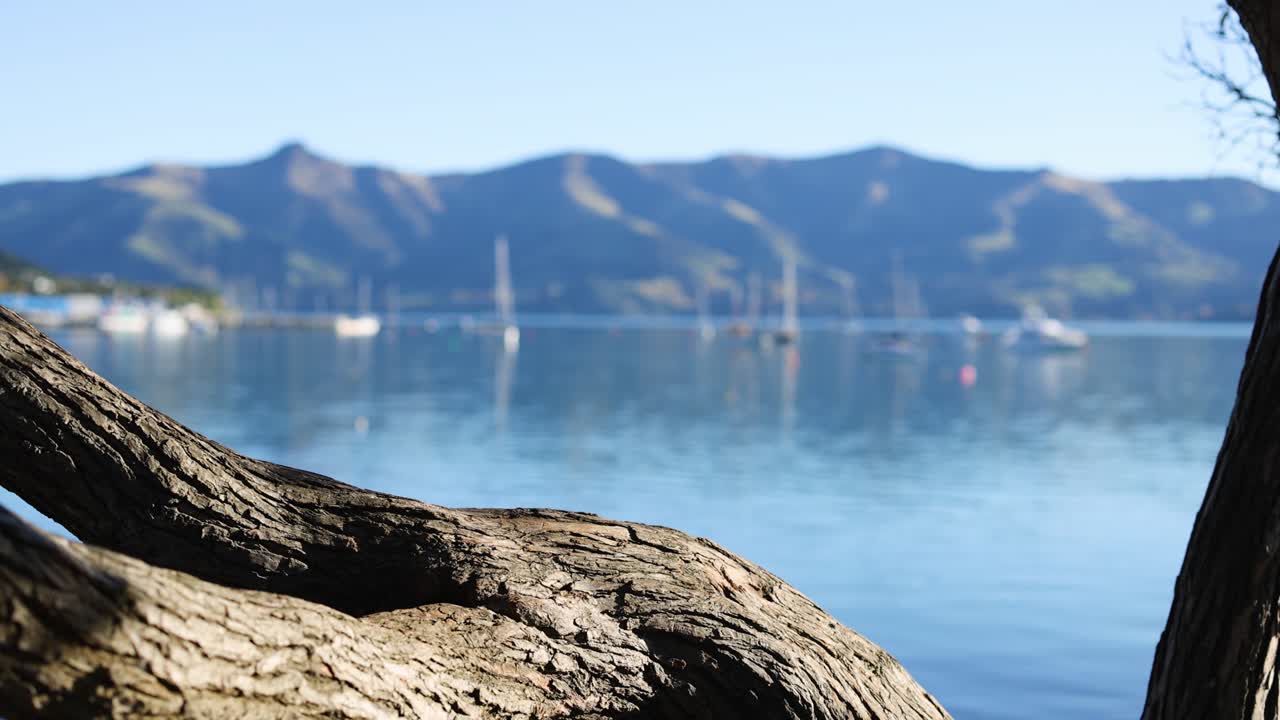 A serene lakeside scene featuring a tree branch, calm water, and distant mountains under clear blue skies