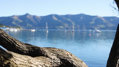 a serene lakeside scene featuring a tree branch, calm water, and distant mountains under clear blue skies