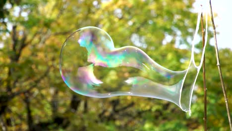 soap bubbles forming, floating and popping