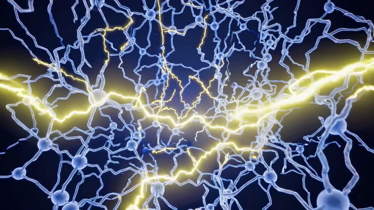 Illustration of Neurons and Neural Transmission