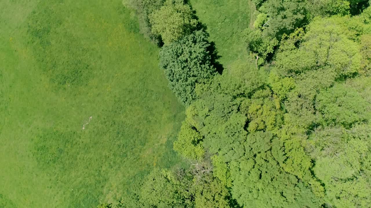 Seguimiento aéreo cenital sobre campos verdes.