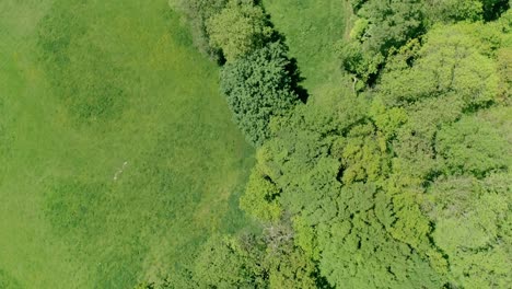 Top-down-aerial-tracking-over-green-fields