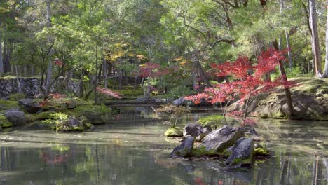 stunning pond with autumn colors at japanese buddhist temple