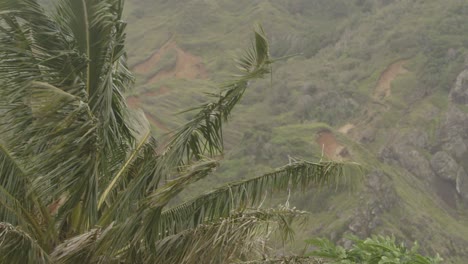Wild-wind-in-the-jungle-and-mountains
