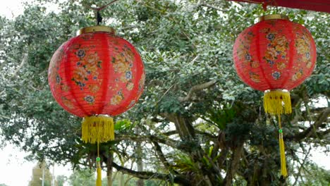 chinese lanterns with temple tree in the background