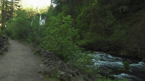 Agua-Corriente-Que-Fluye-Junto-A-Un-Sendero,-A-Través-De-Un-Bosque,-Cerca-De-Burney-Falls,-California