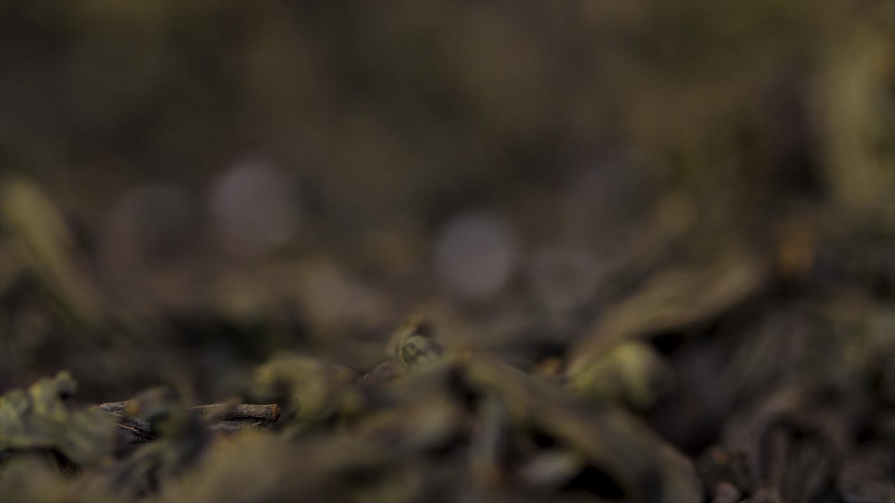 건조 된 차 잎의 클로즈업