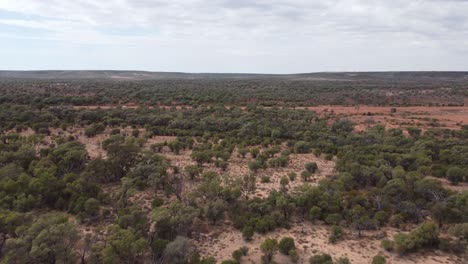Aerial-view-of-a-rugged-bushland-in-the-Australian-Outback-with-trees-and-bushes-below