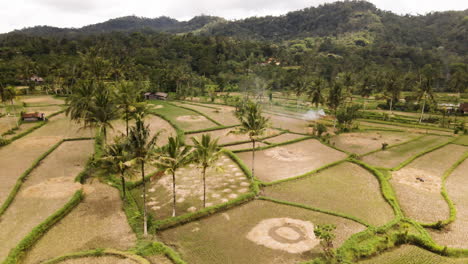 green mountains and vast farmlands in asia - aerial shot