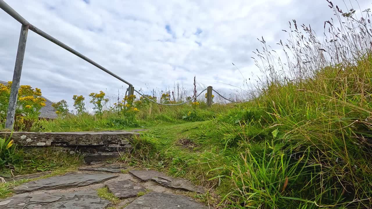 escalones de piedra que conducen al campo de flores cubierto de hierba