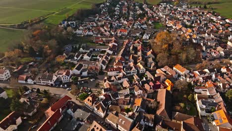 drone flight over deidesheim an der weinstraße on a sunny day – aerial view of beautiful german countryside and vineyards in bright weather