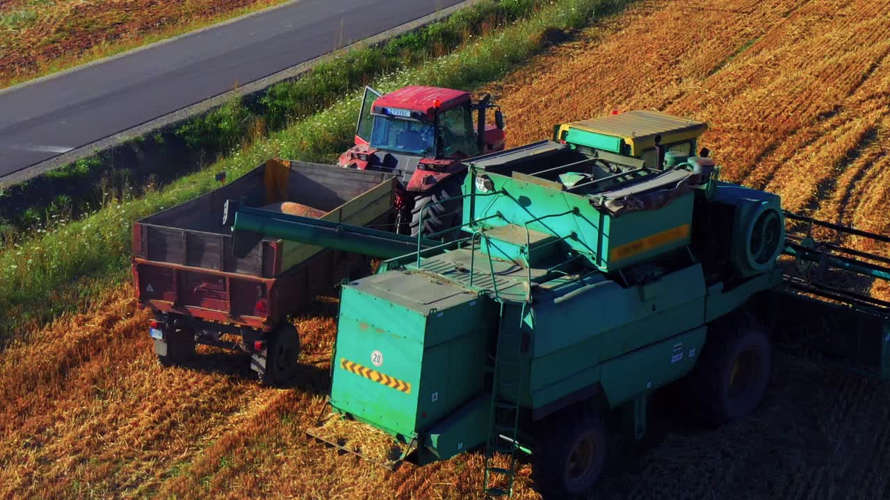 cosechadora en el trabajo en tierras de cultivo en lituania durante la temporada de cosecha