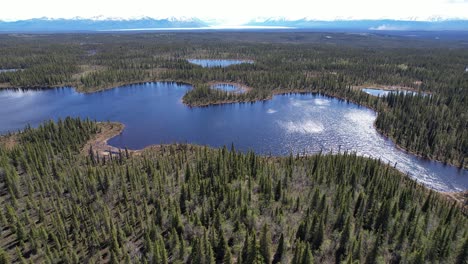 Video-Aéreo-De-4k-Y-24-Fps-Capturado-Del-Hermoso-Paisaje-Que-Rodea-Glenallen,-Alaska