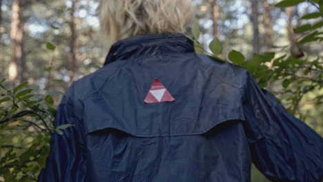 person walking in a forest