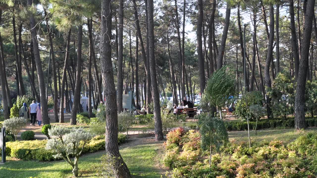 сцена в парке с людьми