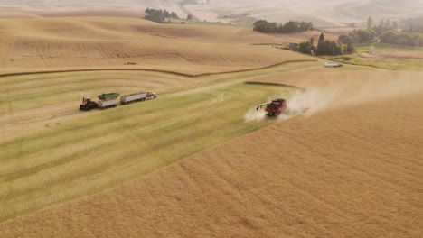 combine harvester creating dust from harvesting canola plants, aerial