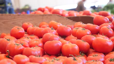 tomates rojos frescos en el mercado de un granjero