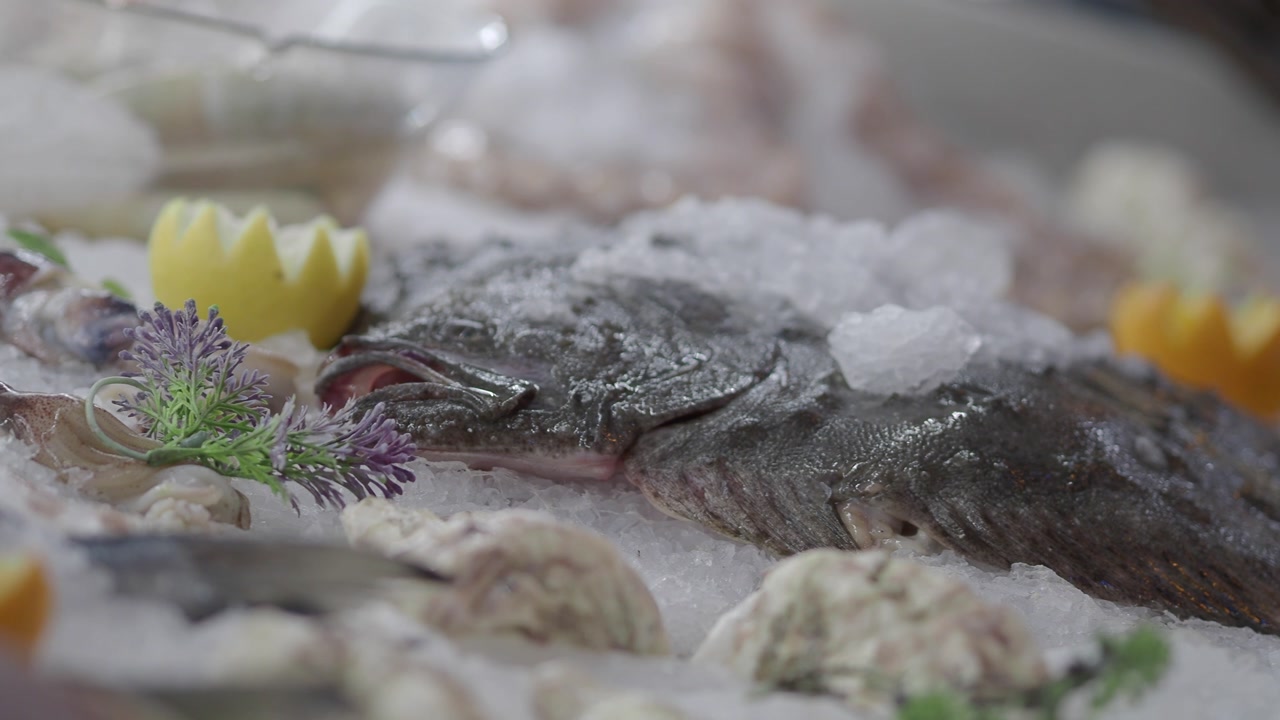 Fresh Flatfish and Assorted Seafood on Ice Display