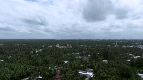 lush green treetops and scattered homes under cloudy skies, mekong delta, vietnam
