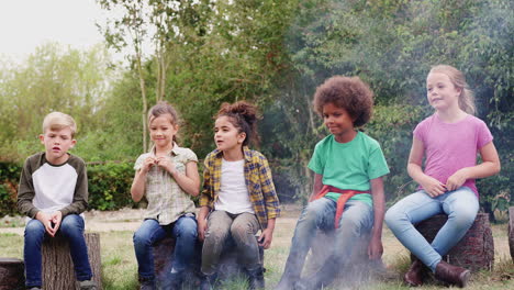group of children on outdoor activity camping trip sitting around camp fire together