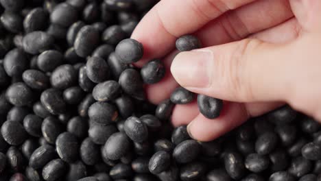 hand picking black turtle beans from a pile in a close-up shot, showing texture and detail