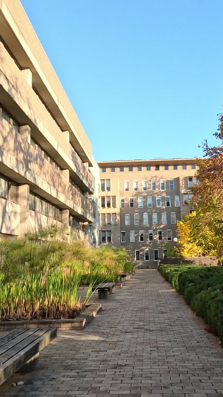 나무 와 건물 들 이 있는 공원 을 가로질러 가는 길