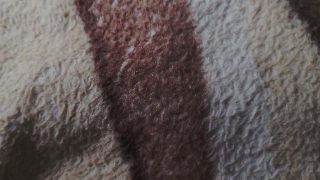 Macro close-up of a soft rug fabric showing detailed fibers and striped textile pattern. Cozy home interior texture with warm tones, highlighting the material and surface of a decorative carpet