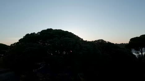 Alentejo-Bei-Sonnenuntergang-Portugal-Stetige-Aufnahme