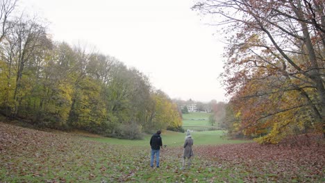 Dog-fetches-a-frisbee-thrown-by-a-boy-and-girl-in-the-beautiful-autumn-park---closeup