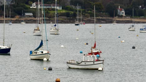 sailboats bobbing on the water at falmouth harbour, with flushing in background