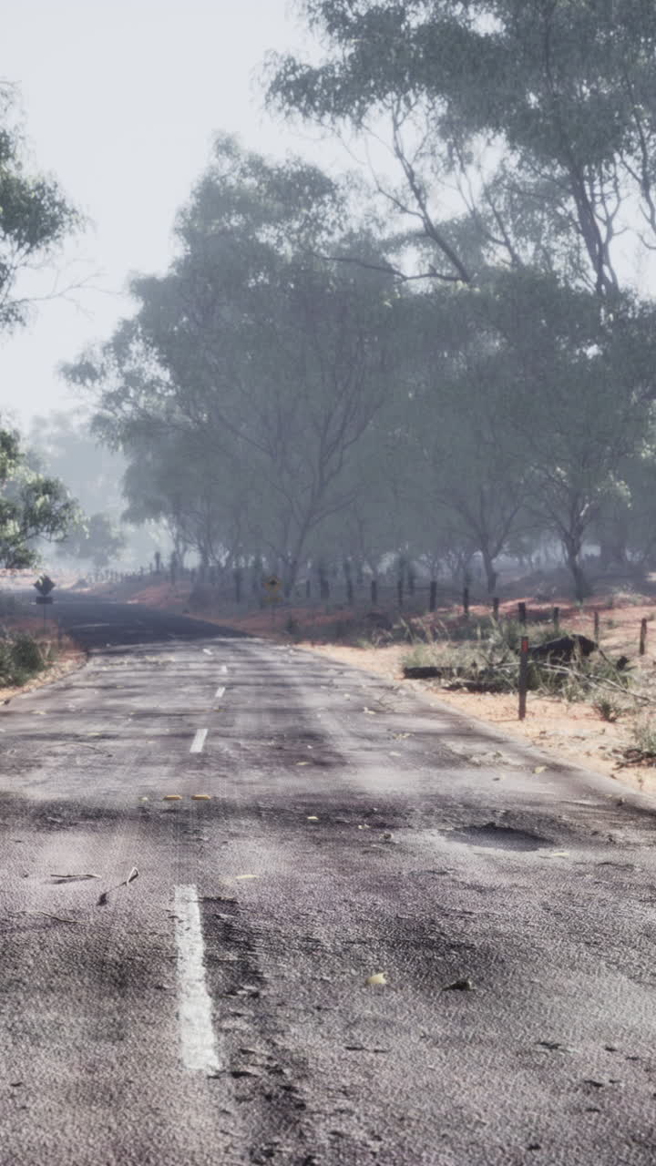 안개가 가득한 시골 도로