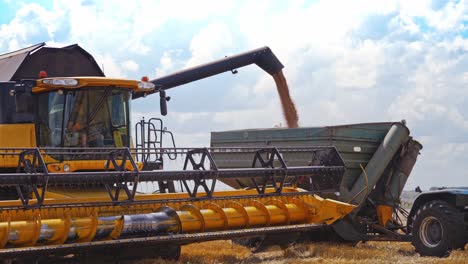 machines harvesting in field. tractor with trailer working in tandem alongside a working combine harvester discharging grain