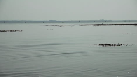 Still-sea-water-at-low-tide-with-ripples