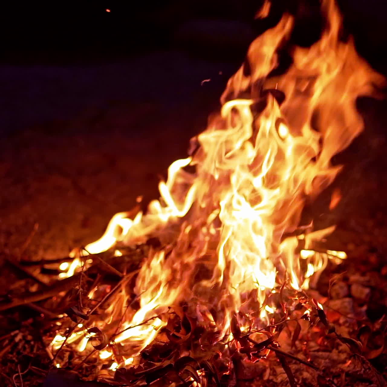 Bright flame from burning logs at night. Orange campfire on the ground against dark background outdoors.