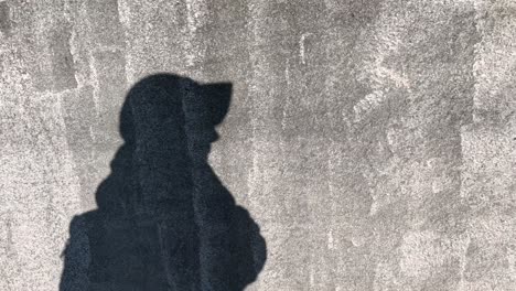 silhouette of a person's playful shadow movements