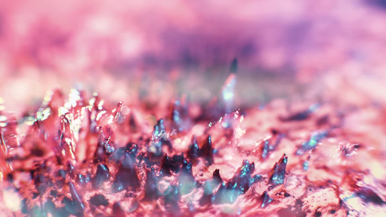 4k 페로 필링 영상