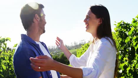 Romantic-couple-in-love-at-a-vineyard